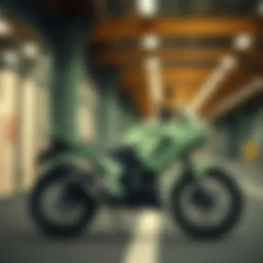 Magnificent 1500 TL Krampon İncelemesi