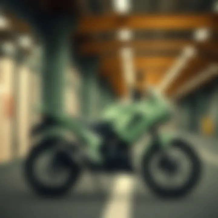 Magnificent 1500 TL Krampon İncelemesi