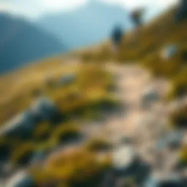 Innovative features of Adidas Terrex R3 displayed on a mountain trail