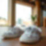 Chic Daily Slippers Collection Elegant daily slippers in various colors and designs