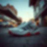 Urban Elegance with Dass-Ler Sneakers Stylish Dass-Ler sneakers showcased in urban setting