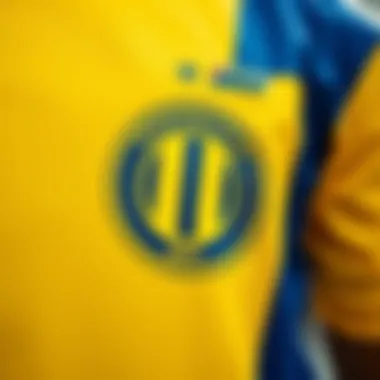 Meaning Behind Fenerbahçe Colors Symbolic yellow and blue colors representing Fenerbahçe