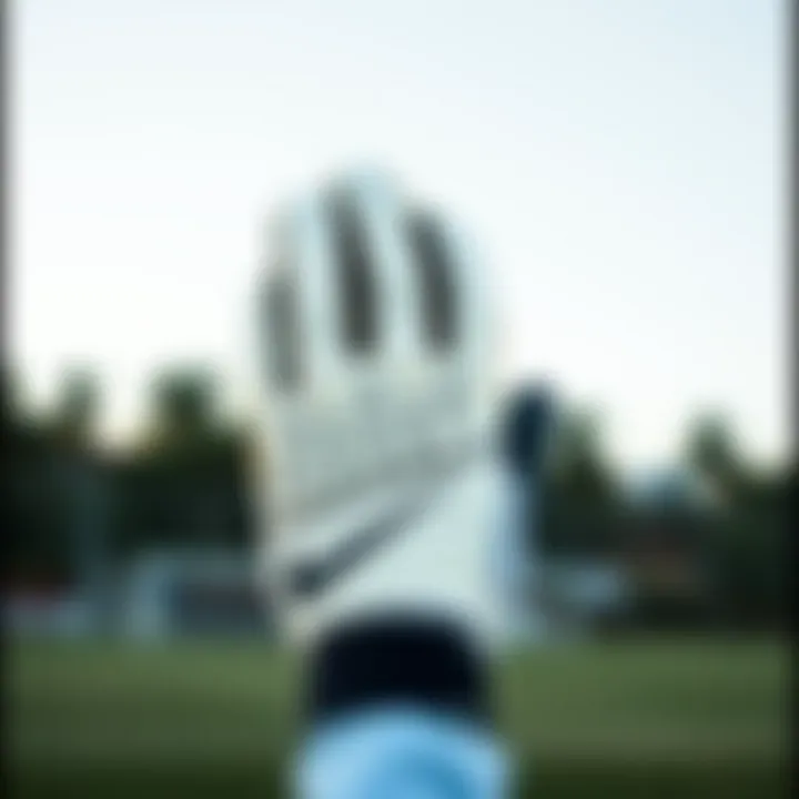 Guide on how to choose the right goalkeeper gloves