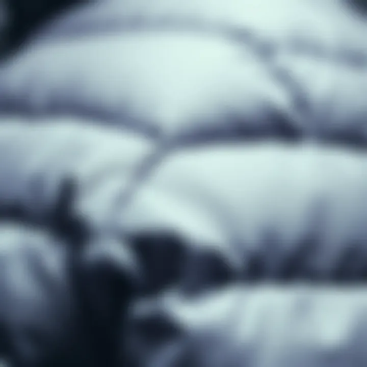 Close-up of puffer jacket fabric texture