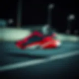 Dynamic view of Puma RS-X in action