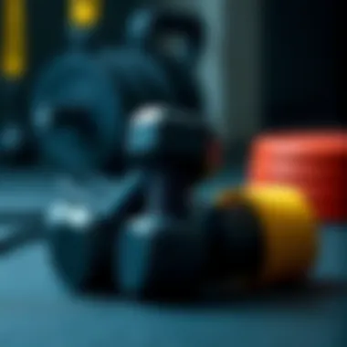 A selection of resistance bands and dumbbells for strength training