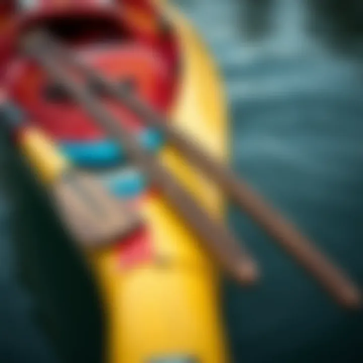 The Art of Rowing Oars Close-up of rowing oars resting on the side of a vibrant canoe