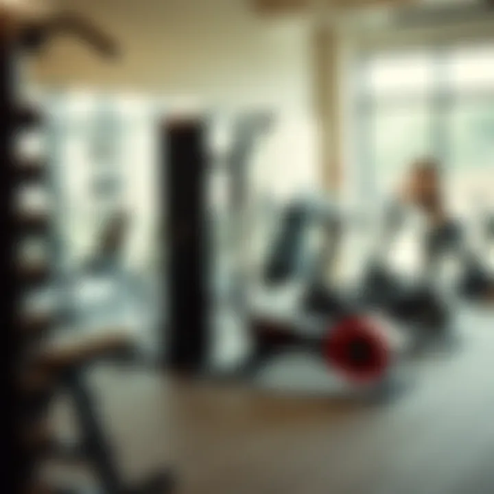 Essentials for Your Fitness Journey A well-organized gym equipment setup