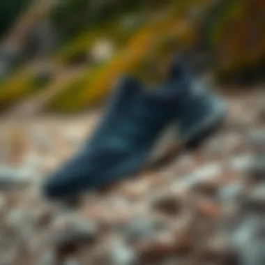 A pair of Terrex Adidas shoes on a rugged outdoor trail.