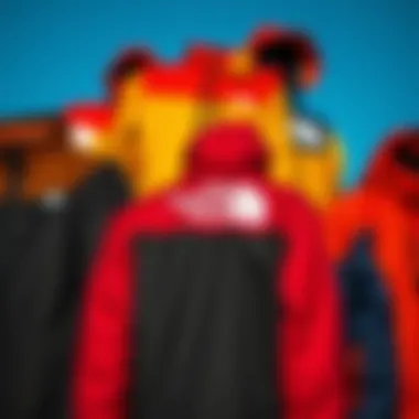 A collection of North Face jackets in various colors and designs